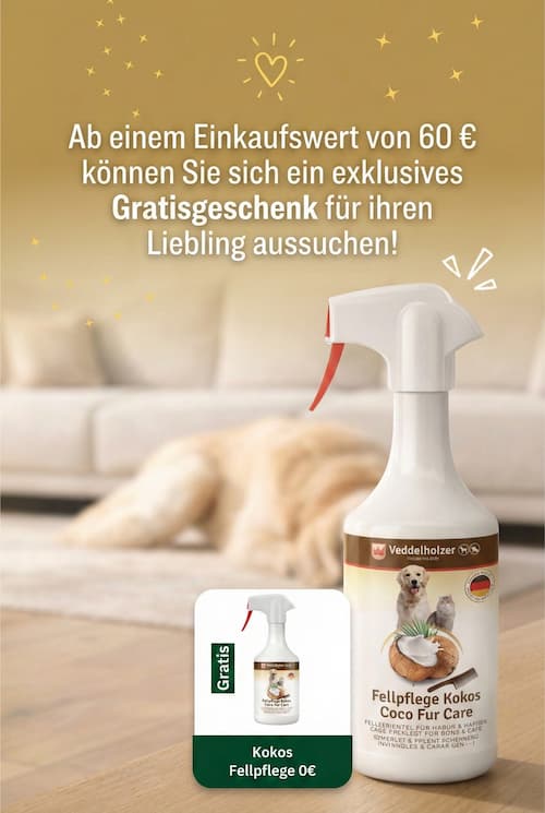 Wähle dein Gratis-Geschenk aus!